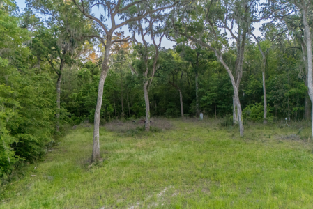 Your Dream Barndominium on 6+ Acres in North Florida! - image 25