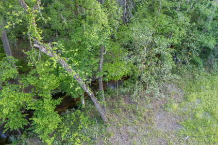 Your Dream Barndominium on 6+ Acres in North Florida! - image 23