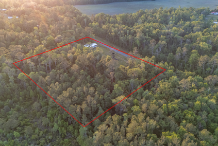 Your Dream Barndominium on 6+ Acres in North Florida! - image 15