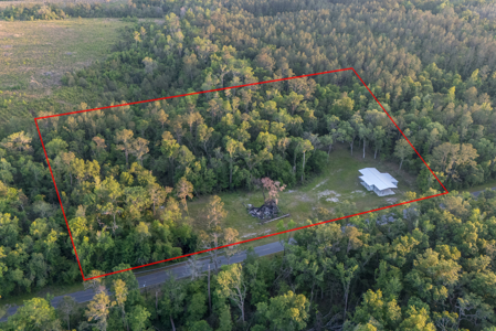 Your Dream Barndominium on 6+ Acres in North Florida! - image 3