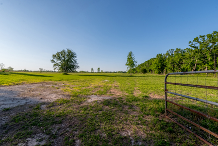 20 Acres with Home, Barn, Pasture & RV Hookup, Live Oak - image 41