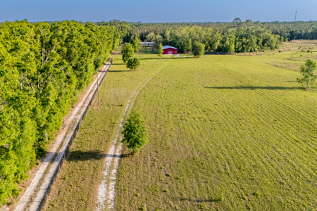 20 Acres with Home, Barn, Pasture & RV Hookup, Live Oak - image 42