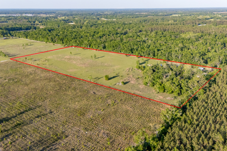 20 Acres with Home, Barn, Pasture & RV Hookup, Live Oak - image 2