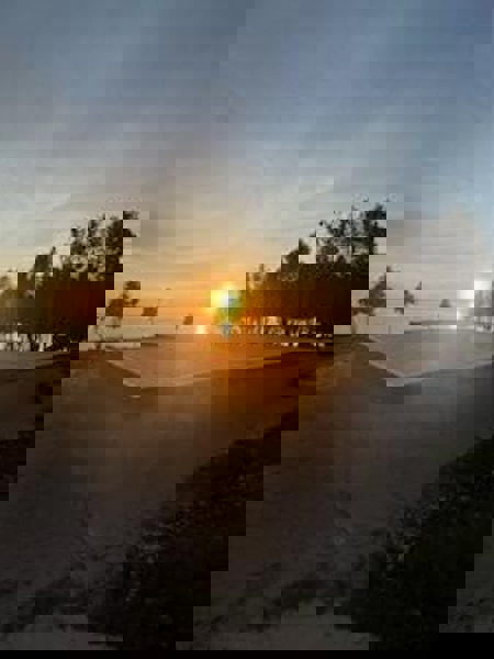 No Caption