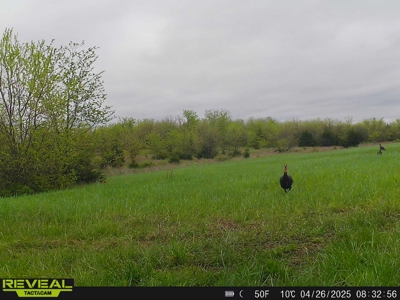 Linn County Kansas 80 Acres For Sale - image 50