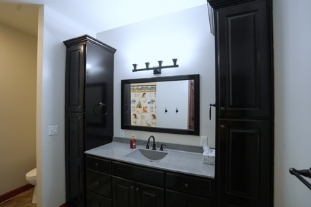 Exquisite Executive Home for Sale in Albia, Iowa - image 7