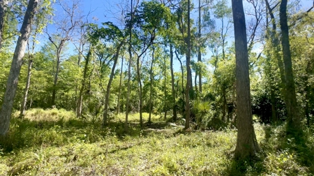 Investment Income Opportunity In Tampa Florida!!! - image 43