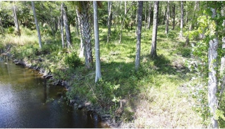 Investment Income Opportunity In Tampa Florida!!! - image 38