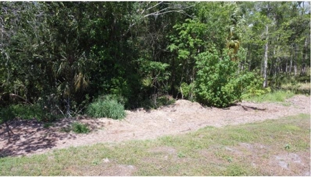 Investment Income Opportunity In Tampa Florida!!! - image 36