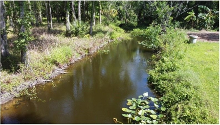 Investment Income Opportunity In Tampa Florida!!! - image 39