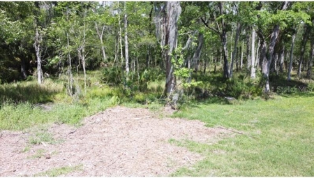 Investment Income Opportunity In Tampa Florida!!! - image 40