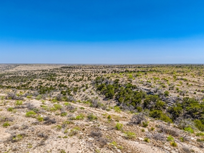 500 Acres For Sale Crockett County Texas - image 28