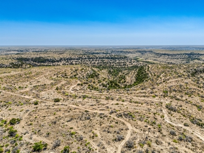 500 Acres For Sale Crockett County Texas - image 36