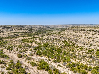 500 Acres For Sale Crockett County Texas - image 9