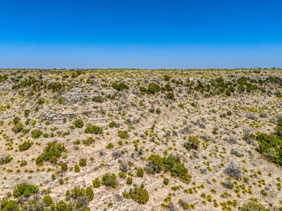 500 Acres For Sale Crockett County Texas - image 12