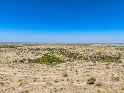 500 Acres For Sale Crockett County Texas - image 2
