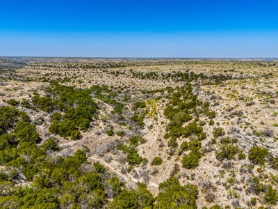 500 Acres For Sale Crockett County Texas - image 4