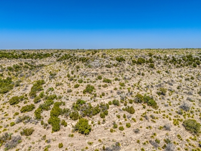 500 Acres For Sale Crockett County Texas - image 10