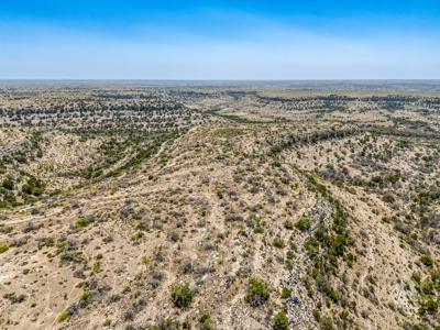 500 Acres For Sale Crockett County Texas - image 29