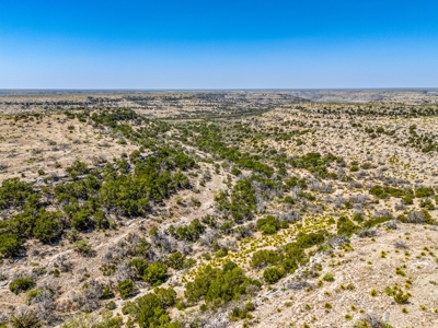 500 Acres For Sale Crockett County Texas - image 1