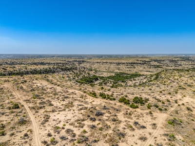 500 Acres For Sale Crockett County Texas - image 8