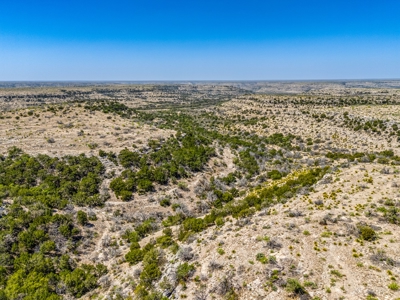 500 Acres For Sale Crockett County Texas - image 6