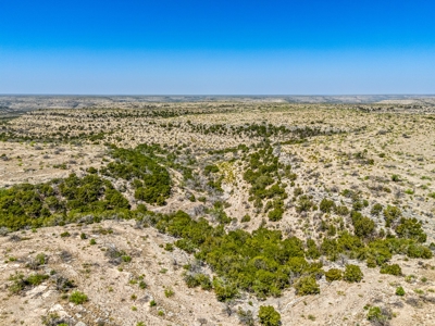 500 Acres For Sale Crockett County Texas - image 3