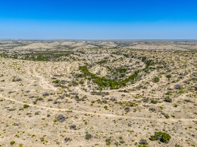500 Acres For Sale Crockett County Texas - image 5