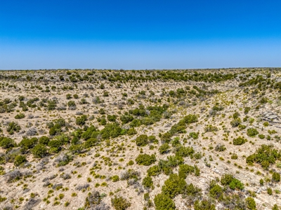 500 Acres For Sale Crockett County Texas - image 13