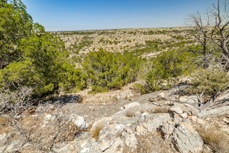 500 Acres For Sale Crockett County Texas - image 16