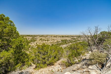 500 Acres For Sale Crockett County Texas - image 17