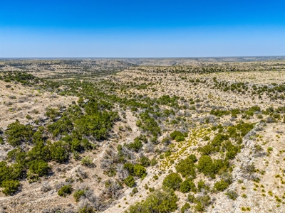500 Acres For Sale Crockett County Texas - image 7
