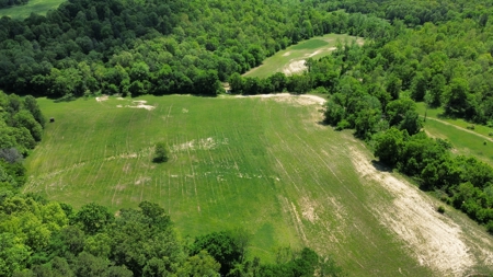 Country Home And Land For Sale In North Central Arkansas - image 10