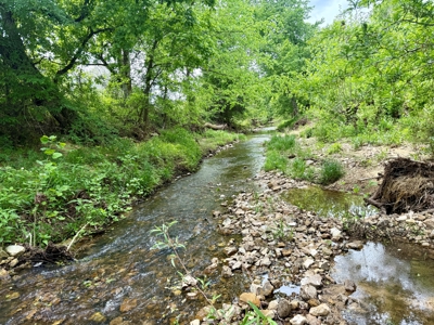 Country Home And Land For Sale In North Central Arkansas - image 3