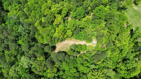 Country Home And Land For Sale In North Central Arkansas - image 49