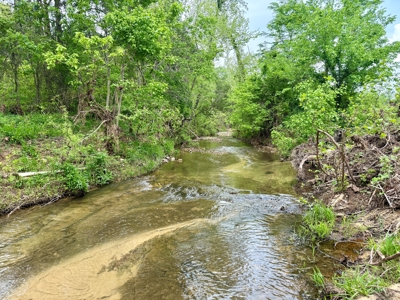 Country Home And Land For Sale In North Central Arkansas - image 6