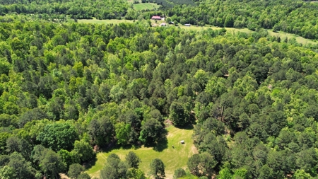 Country Home And Land For Sale In North Central Arkansas - image 50