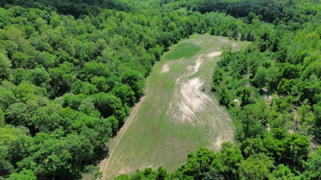 Country Home And Land For Sale In North Central Arkansas - image 11