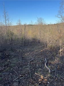 4 Ac Tract with Mountain Views  Newton County, Jasper Ar For Sale - image 7