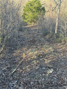 4 Ac Tract with Mountain Views  Newton County, Jasper Ar For Sale - image 4