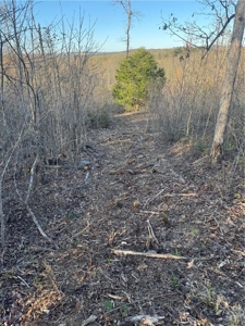 4 Ac Tract with Mountain Views  Newton County, Jasper Ar For Sale - image 5