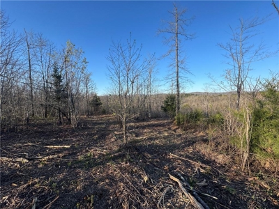 4 Ac Tract with Mountain Views  Newton County, Jasper Ar For Sale - image 1