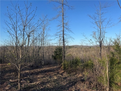 4 Ac Tract with Mountain Views  Newton County, Jasper Ar For Sale - image 2