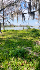 Jessamine Lakefront Fixer-Upper in Orlando FL! - image 10