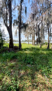 Jessamine Lakefront Fixer-Upper in Orlando FL! - image 5