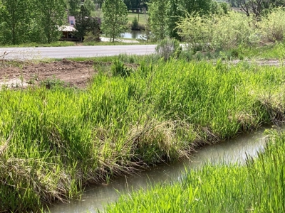 Basecamp for Adventure: 109 Acres across from Orvis Hot Springs - image 9