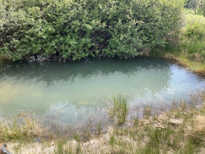 Basecamp for Adventure: 109 Acres across from Orvis Hot Springs - image 6