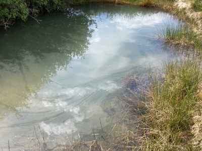 Basecamp for Adventure: 109 Acres across from Orvis Hot Springs - image 7