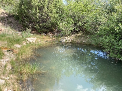 Basecamp for Adventure: 109 Acres across from Orvis Hot Springs - image 8