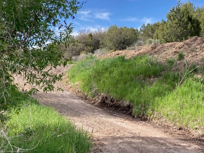 Basecamp for Adventure: 109 Acres across from Orvis Hot Springs - image 4